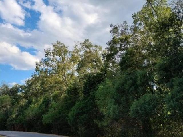 Land for sale in Arnaudville, St. Landry Parish