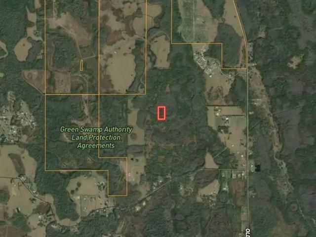 Land for sale in Polk City, Florida
