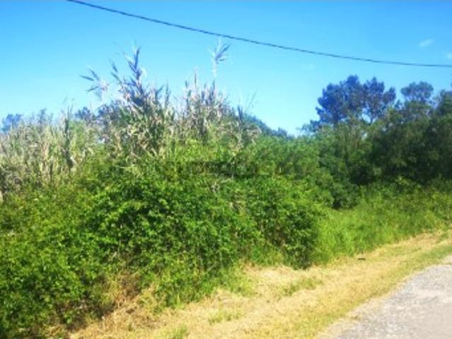 Terreno venda em Mafra, Lisboa