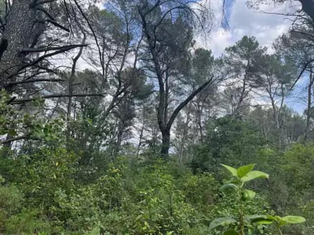 Terrain vente à France métropolitaine, Fuveau
