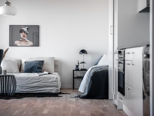 Hus hyra i Centrum, Uppsala