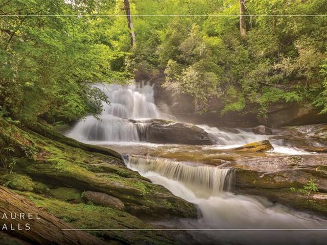Land for sale in North Carolina