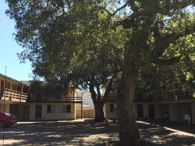 Apartment for rent in San Mateo, California