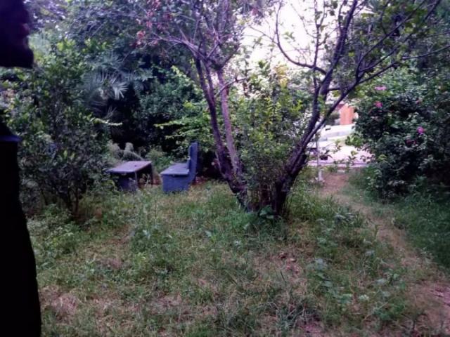 House for rent in جی-13/2, اسلام آباد
