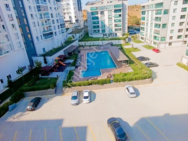 Kurtuluş Mahallesi, Nilüfer içerisinde kiralık mülk