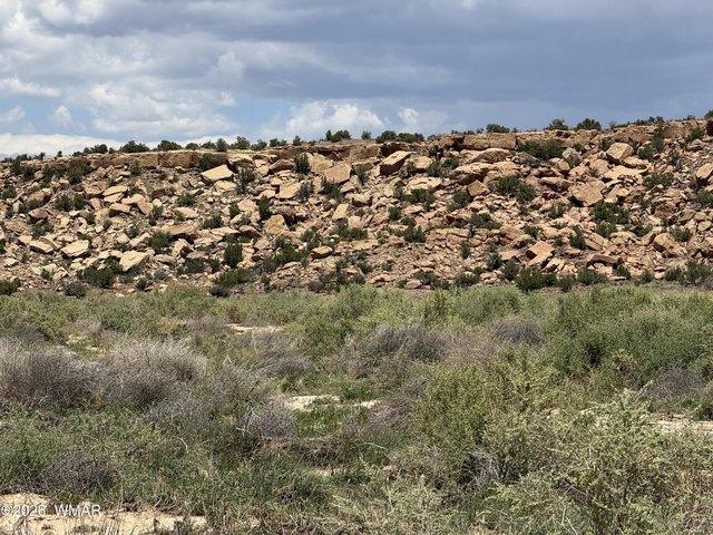 Land for sale in Saint Johns, Apache County