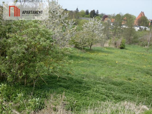 Grunt na sprzedaż w Gębice, Kujawsko-pomorskie