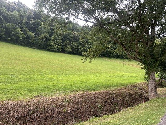 Land for sale in Tennessee
