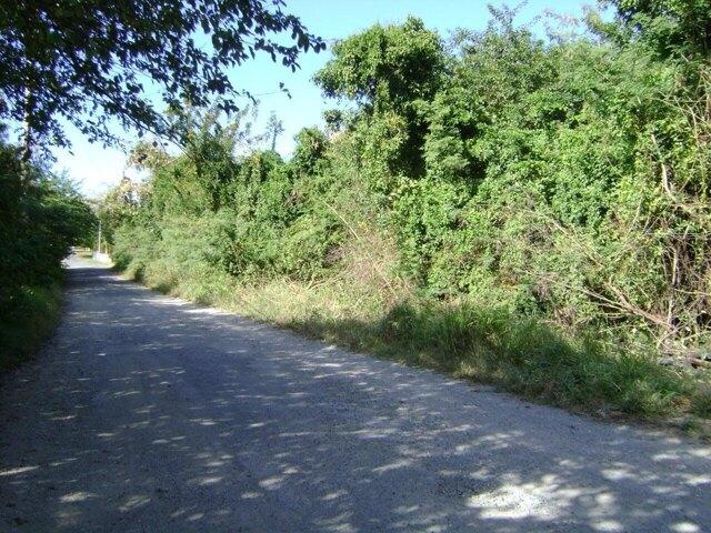 Land for sale in Saint Croix