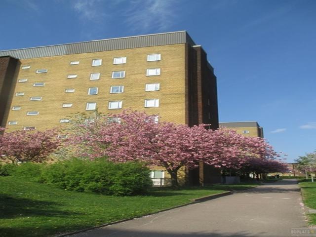 Hus hyra