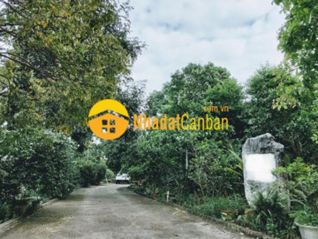 Nhà mặt phố bán