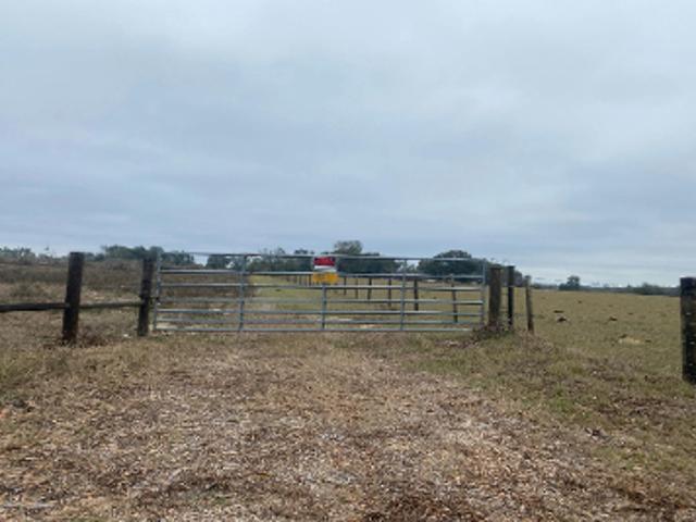 Farm for sale in Brooksville, Hernando County