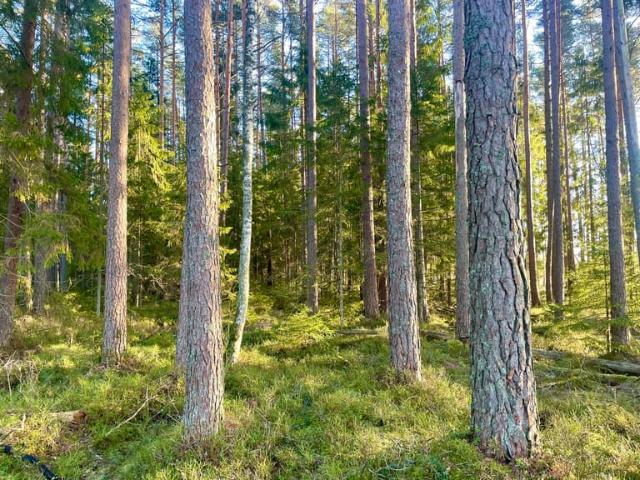 Gård till salu i Töreboda, Västra Götaland