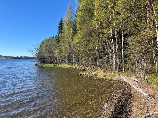 Gård till salu i Jämtland