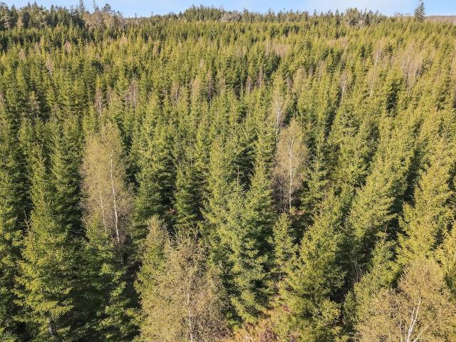 Gård till salu i Kronoberg