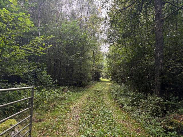 Gård till salu i Skåne
