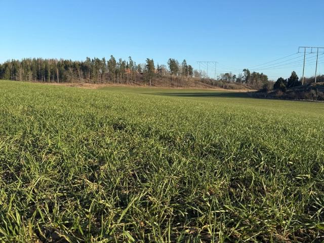 Gård till salu i Kimstad, Östergötland