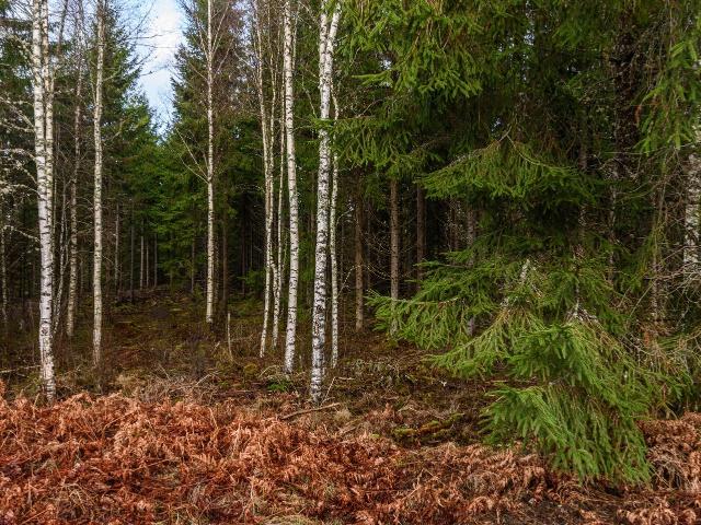 Gård till salu i Kronoberg