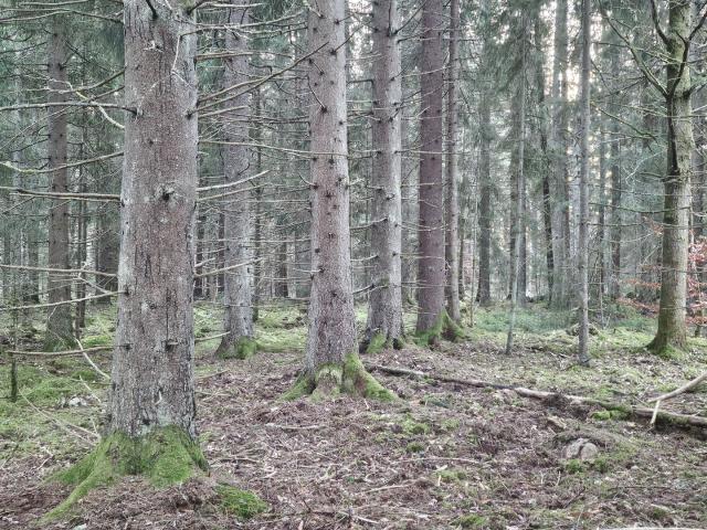 Gård till salu i Jönköping