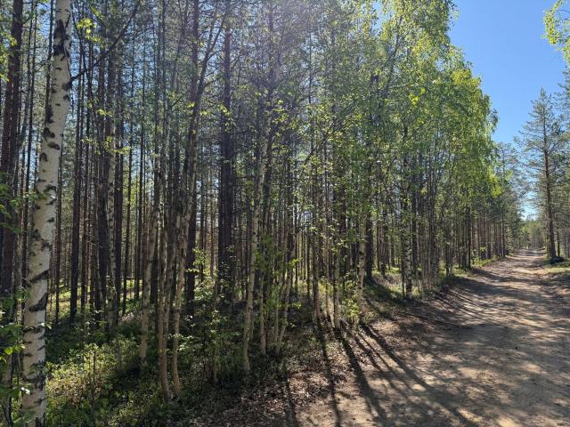 Gård till salu i Norrbotten
