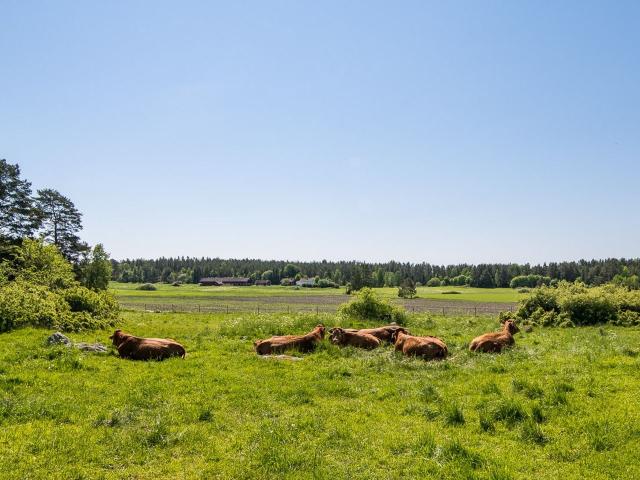 Gård till salu i Östergötland