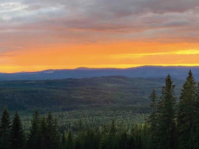 Gård till salu i Värmland
