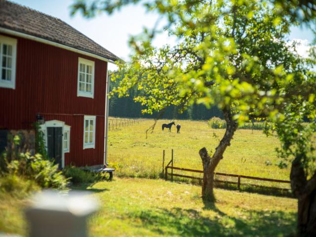 Gård till salu i Stockholm
