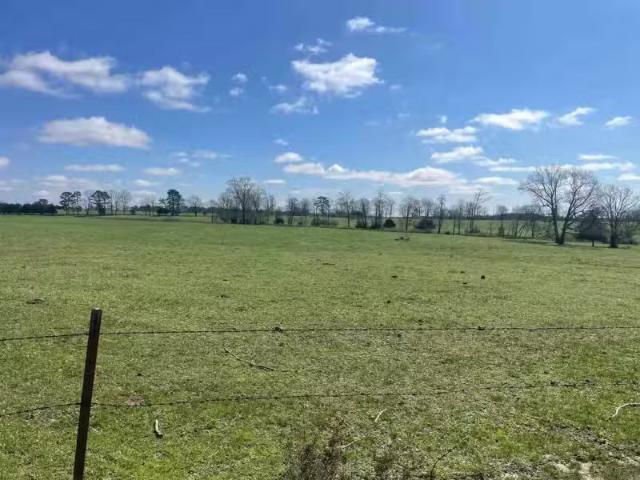 House for rent in Ark