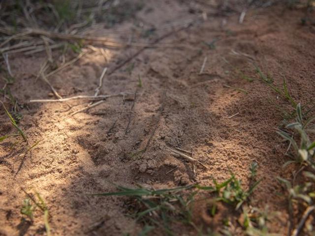 Land for sale in Kansas
