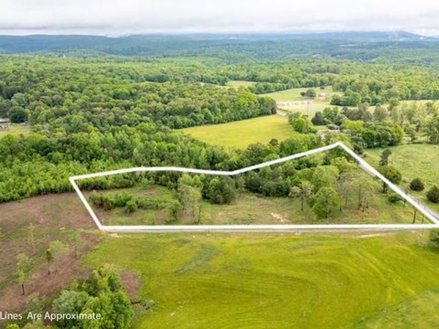 Land for sale in Trenton, Georgia