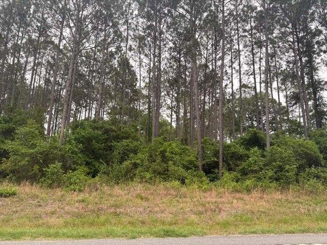 Land for sale in Norman Park, Georgia