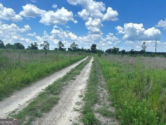 Land for sale in Vidalia, Georgia