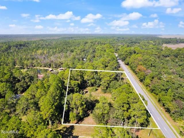 Land for sale in Darien, McIntosh County