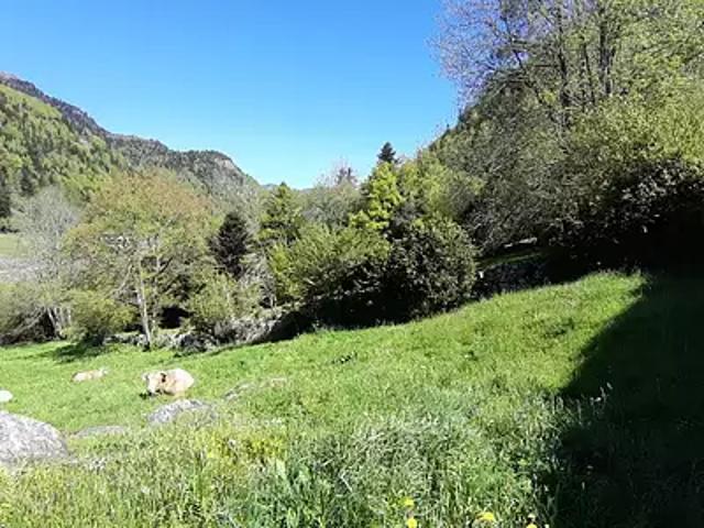 Terrain vente à Oloron-Sainte-Marie, Laruns