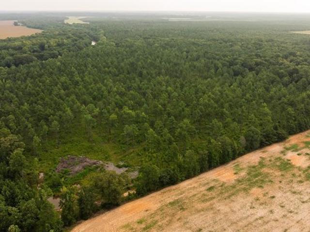 Land for sale in Morehouse, Louisiana