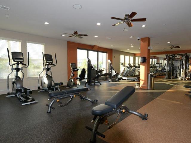 Apartment for rent in Fairfax, Virginia
