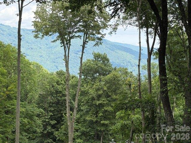 Land for sale in Haywood, North Carolina
