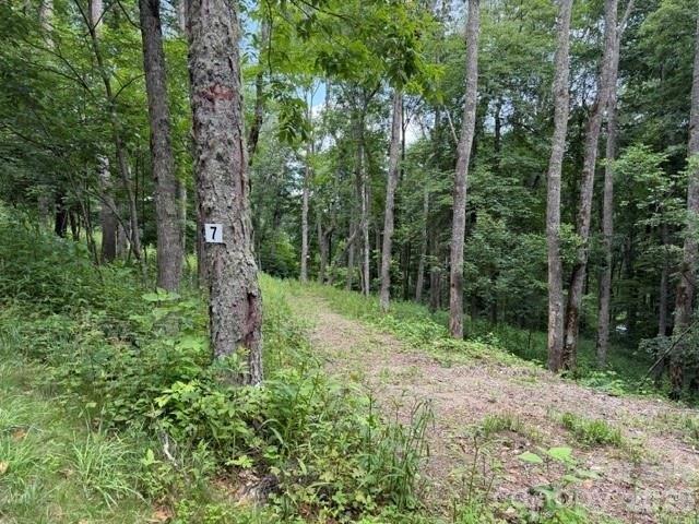 Land for sale in Haywood, North Carolina