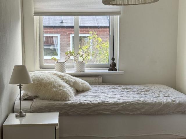 Hus hyra i Halmstad, Halland