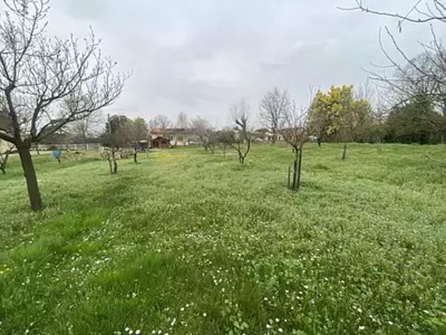 Terrain vente à Albi, Gaillac