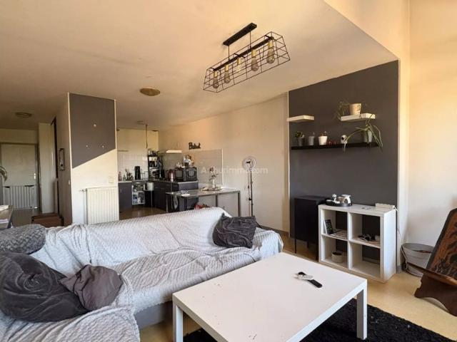 Appartement location à Albi, Gaillac