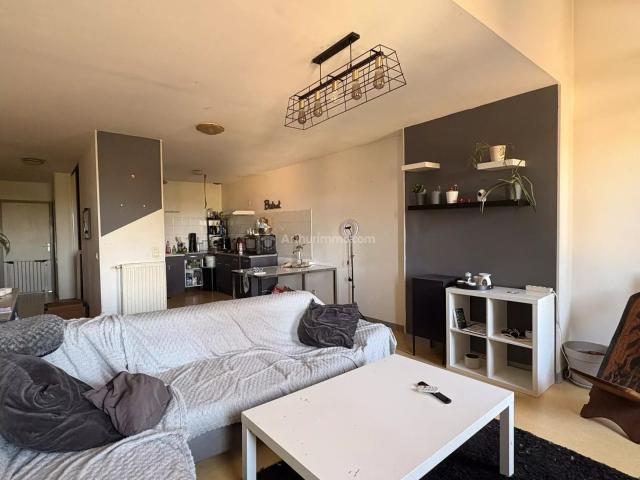 Appartement location à Albi, Gaillac