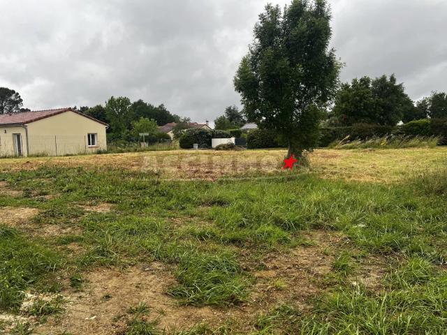 Terrain vente à Albi, Gaillac