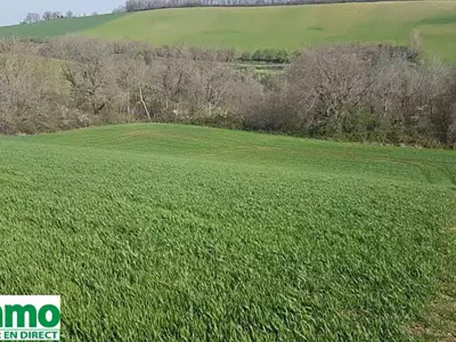 Terrain vente à Muret, Gaillac-toulza