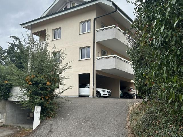 Garage vente à Gaillard, Haute-Savoie