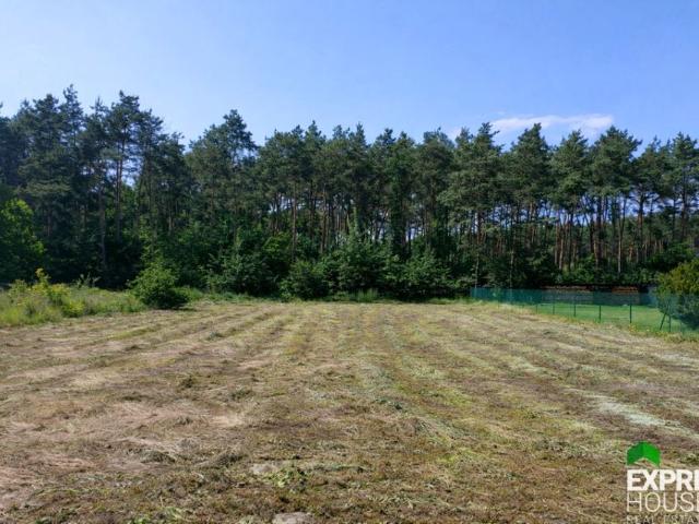 Grunt na sprzedaż w Zakrzewo, Wielkopolskie