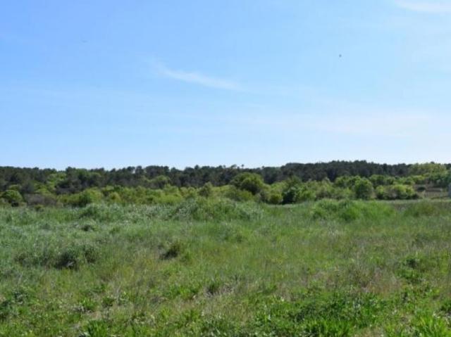 Terrain vente à Montpellier, Galargues