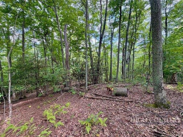 Land for sale in Avery, North Carolina