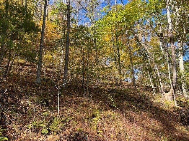 Land for sale in Virginia