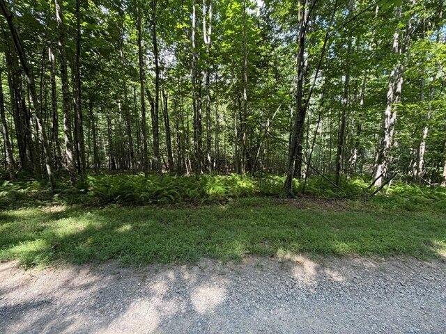 Land for sale in Virginia